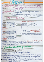 Amines.pdf